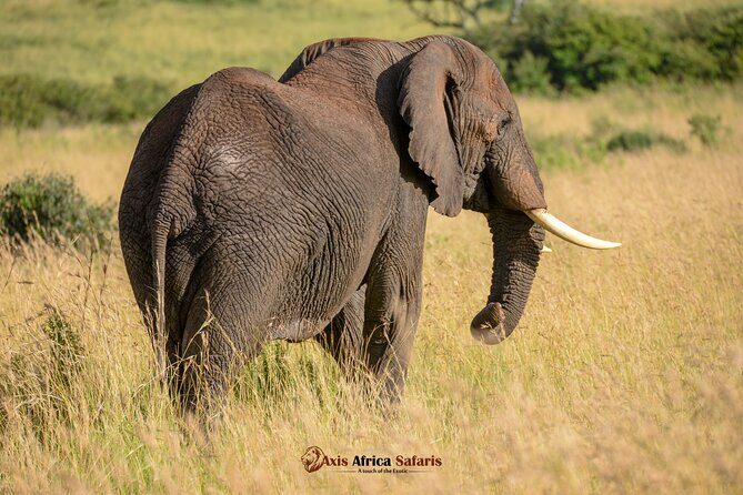 Multi Day Masai Mara Lake Nakuru Park Hellsgate Park Tour - Guides and Real Trust: The Human Touch Behind the Best Sightings