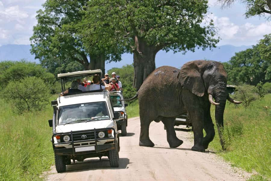 Nairobi: 4-Day Maasai Mara & Lake Nakuru Camping Safari - Key highlights worth planning around