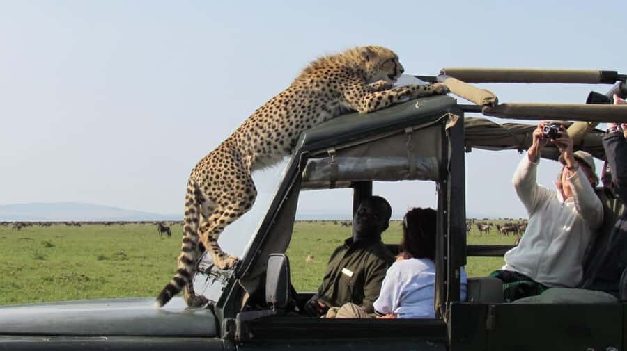 Nairobi: 4-Day Maasai Mara & Lake Nakuru Camping Safari - Camping in Maasai Mara and the reality of safari food