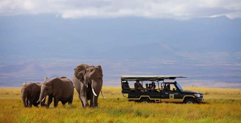 Nairobi: 4-Day Maasai Mara & Lake Nakuru Camping Safari - Maasai Mara National Reserve game drives: where expert spotting pays off