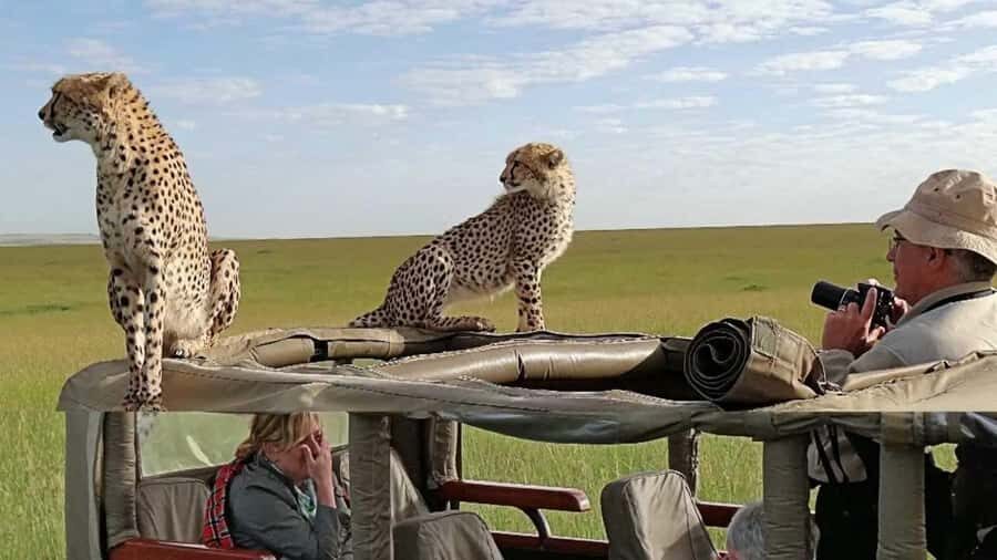 Nairobi: 4-Day Maasai Mara & Lake Nakuru Camping Safari - FAQ