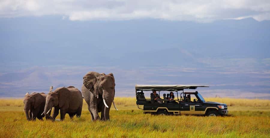 Nairobi: 4-Day Maasai Mara & Lake Nakuru Camping Safari - Maasai Mara National Reserve game drives: where expert spotting pays off