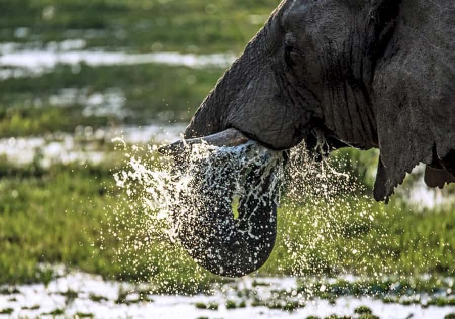 Nairobi: 4 Day Masai Mara and Lake Nakuru Camping Safari - Key Takeaways Before You Go
