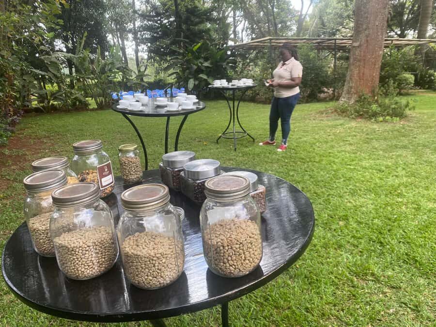 Nairobi: Coffee Factory and Farm Tour with Transfer - What Fairview’s coffee farm tour is really about
