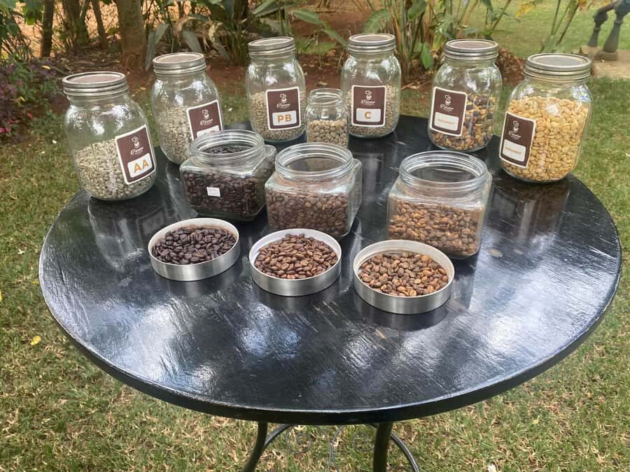 Nairobi: Coffee Factory and Farm Tour with Transfer - Inside the 2-hour coffee walkthrough: from coffee plants to processing
