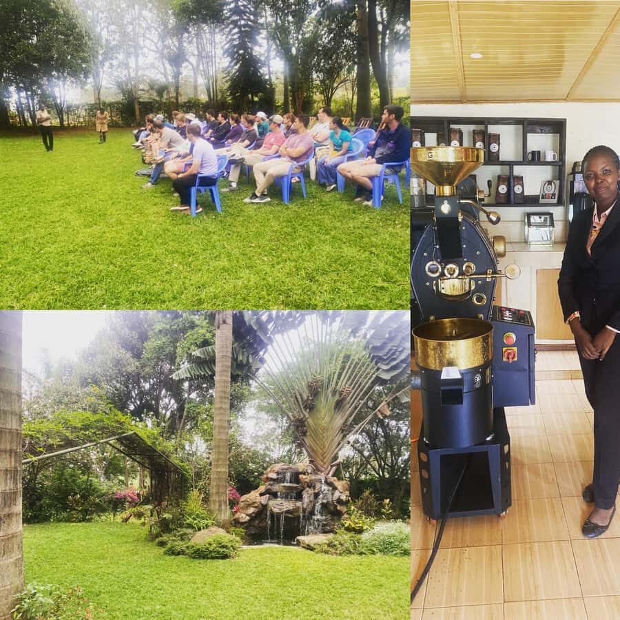 Nairobi: Coffee Factory and Farm Tour with Transfer - The Fairview “quiet win”: a break from Nairobi’s pace