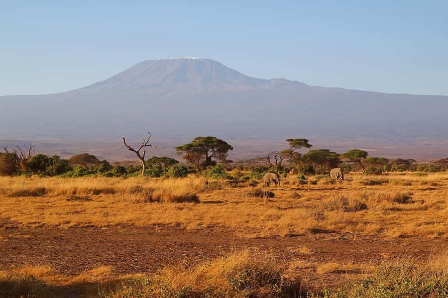 Nairobi: Day Tour to Amboseli National Park & Maasai Village - Lunch and Snacks: What You’ll Spend and How to Avoid Getting Hangry