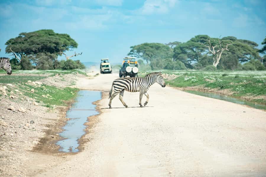 Nairobi: Day Tour to Amboseli National Park & Maasai Village - Maasai Village Visit: Dance, Beadwork, and Questions That Make It Real
