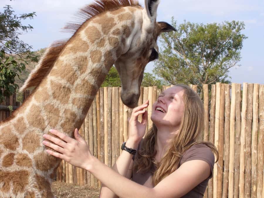Nairobi: Elephant Orphanage Trust and Giraffe Center Tour - Key things worth knowing