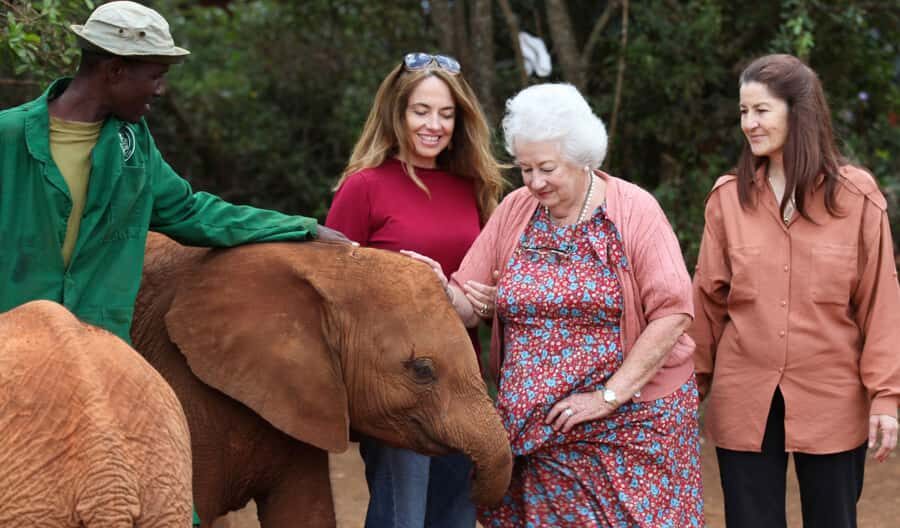 Nairobi: Elephant Sanctuary and Giraffe Center Day Tour - Pickup at 9:30, city drive, and why the timing matters in Nairobi