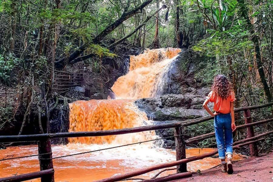 Nairobi: From Nairobi-Karura Forest Guided Walking Tour - Karura Forest at a glance: what makes this tour worth $45