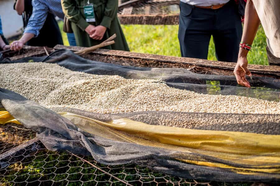 Nairobi: Guided Coffee Farm Tour with Tastings - Value for Money: Is $27 a Good Deal?
