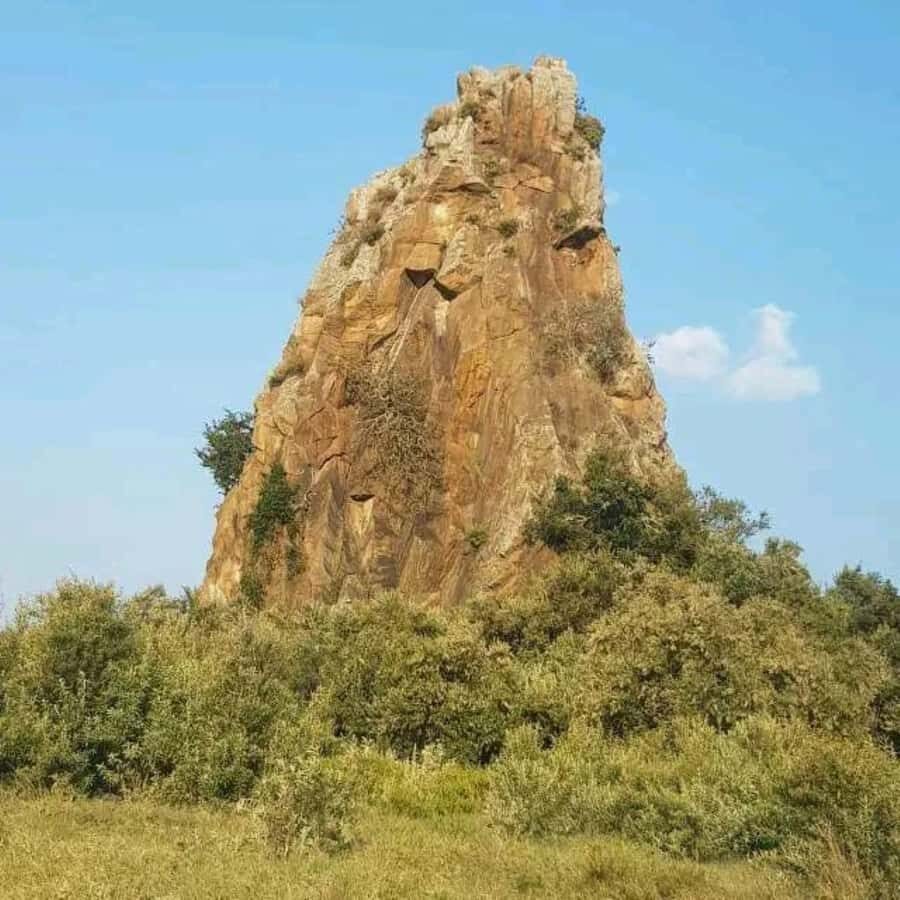 Nairobi: Hell's Gate National Park and Lake Naivasha Tour - Hell’s Gate by Bike: The Part That Changes the Whole Experience