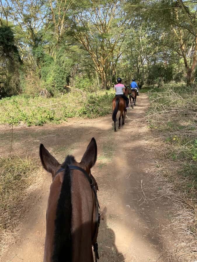 Nairobi: Karura Forest Horseback Riding Tour - Karura Forest on horseback: why this 90-minute ride feels special