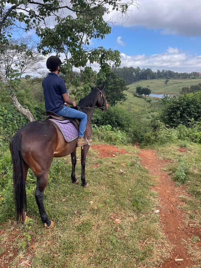 Nairobi: Karura Forest Horseback Riding Tour - Getting to know your horse: the pre-ride rhythm