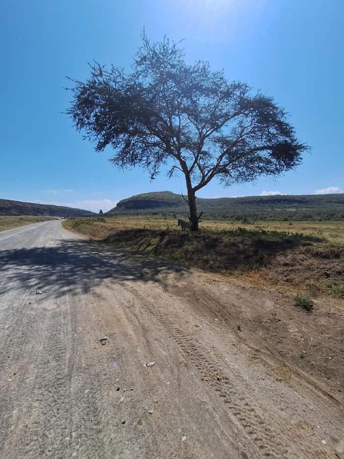 Nairobi: Lake Naivasha & Hell’s Gate National Park Day Trip - The gorge hike and Fischer’s Tower: where you earn the views