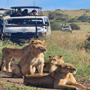 Nairobi National Park 5-hour Guided Game Drive Free Pick up - Pickup timing and the ride to the park entrance