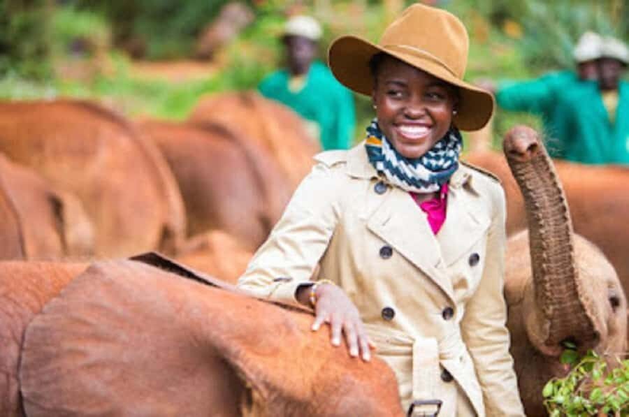 Nairobi national park and elephant orphanage - Vehicle setup: comfort matters, but visibility matters more