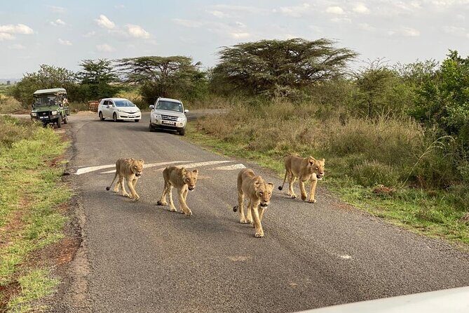 Nairobi national park and Giraffe center - Giraffe Centre stop: what you’ll learn and why it’s worth 2 hours