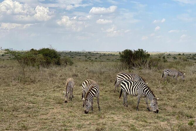 Nairobi national park and Giraffe center - Who should book this private Nairobi day safari
