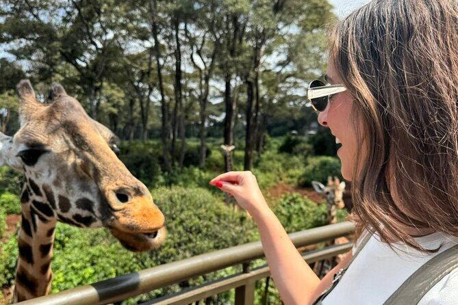 Nairobi National Park and Giraffe Center Daily Tours. - Entering the Nairobi Wildlife Game: Why This Park Works
