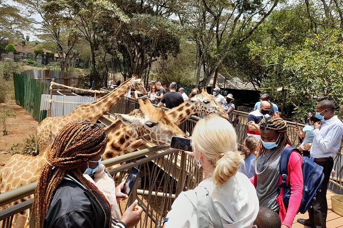 Nairobi: National park, baby Elephant, Giraffe center - Who this Nairobi day tour suits best