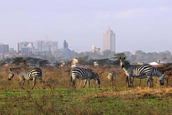 Nairobi National Park, Baby Elephant Orphanage and Giraffe Center - Stop 1: Nairobi National Park game drive with skyline views