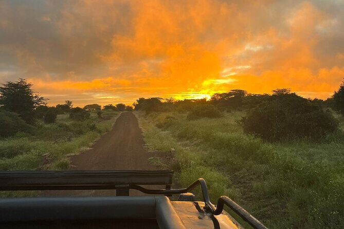 Nairobi National Park Daily Game drives. - A Simple Booking Verdict: Should You Book This?