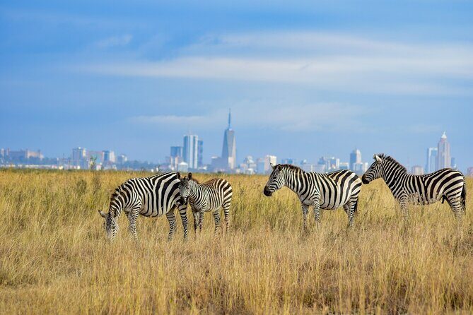 Nairobi National Park Early Morning or Afternoon Game Drive - Price and value: what $50 includes, and what it doesn’t