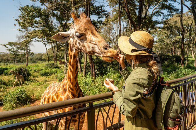 Nairobi National Park, Elephant Orphanage and Giraffe Centre - Key highlights you’ll care about