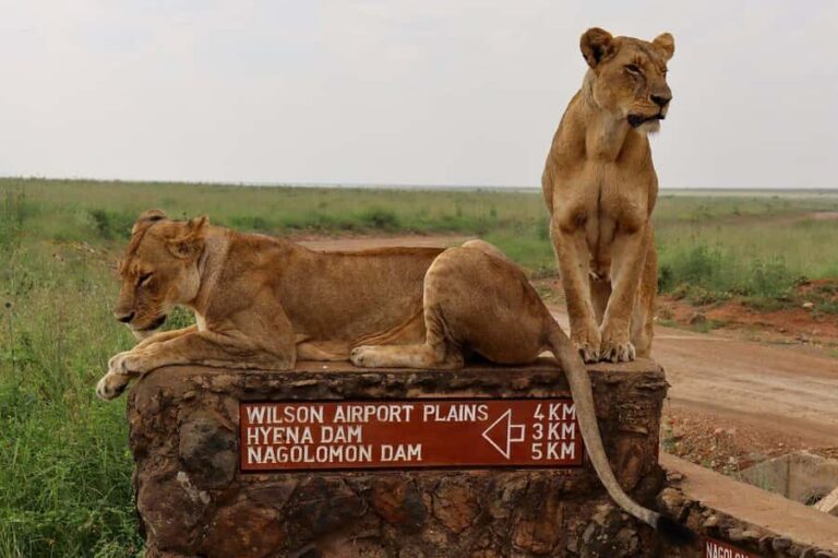 Nairobi National Park, Elephant Orphanage and Giraffe Centre - Kazuri Beads Factory: a crafts stop with real community value