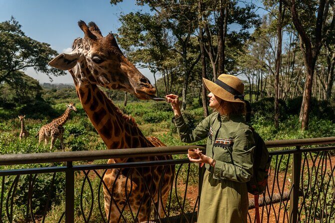 Nairobi National Park, Elephant Orphanage and Giraffe Centre - Timing, group size, and how the day is paced