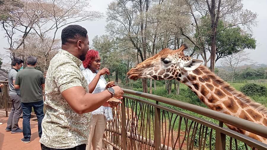Nairobi: National Park, Elephant Orphanage, & Giraffe Centre - Karen Blixen Museum: the coffee farm world of Out of Africa