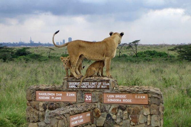 Nairobi National Park, Elephant Orphanage, Giraffe Centre Tour - Key Points You’ll Care About