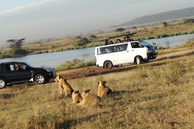 Nairobi National Park, Elephant Orphanage, Giraffe Centre Tour - Price and Value: What $45 Really Means