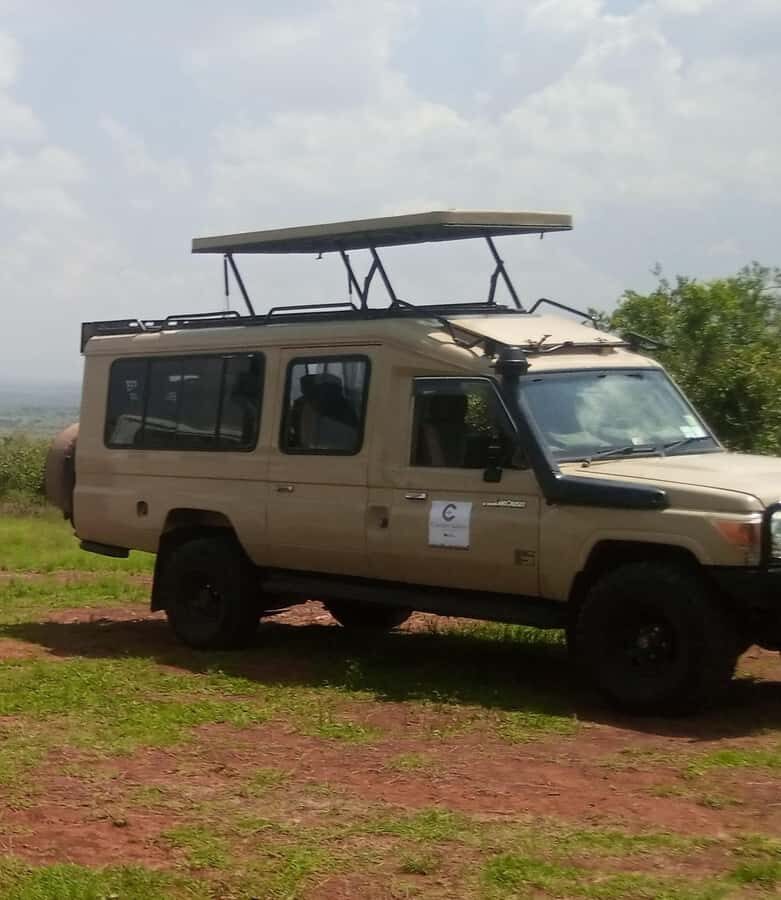 Nairobi National Park Full-Day Tour: Private 4WD with Guide - Nairobi National Park safari in a private 4WD, starting at 6:00 AM