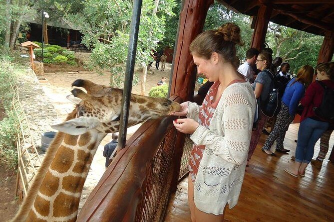 Nairobi National Park, Giraffe Center and Elephant Orphanage Day Tour from Nairobi - Nairobi National Park game drive: 3 hours to spot big names