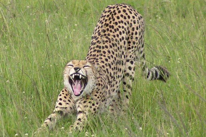 Nairobi National Park, Giraffe Center & Karen Blixen Museum - Karen Blixen Museum: Out of Africa on One Farmhouse Hour