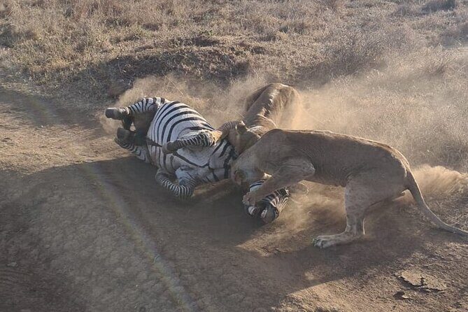 Nairobi National Park Group Shared Tour - Price and Logistics: What You Pay and What You Add