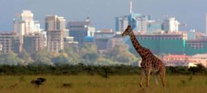 Nairobi National Park Group Tour. - The 4–5 hour game drive in an open-roof 4WD