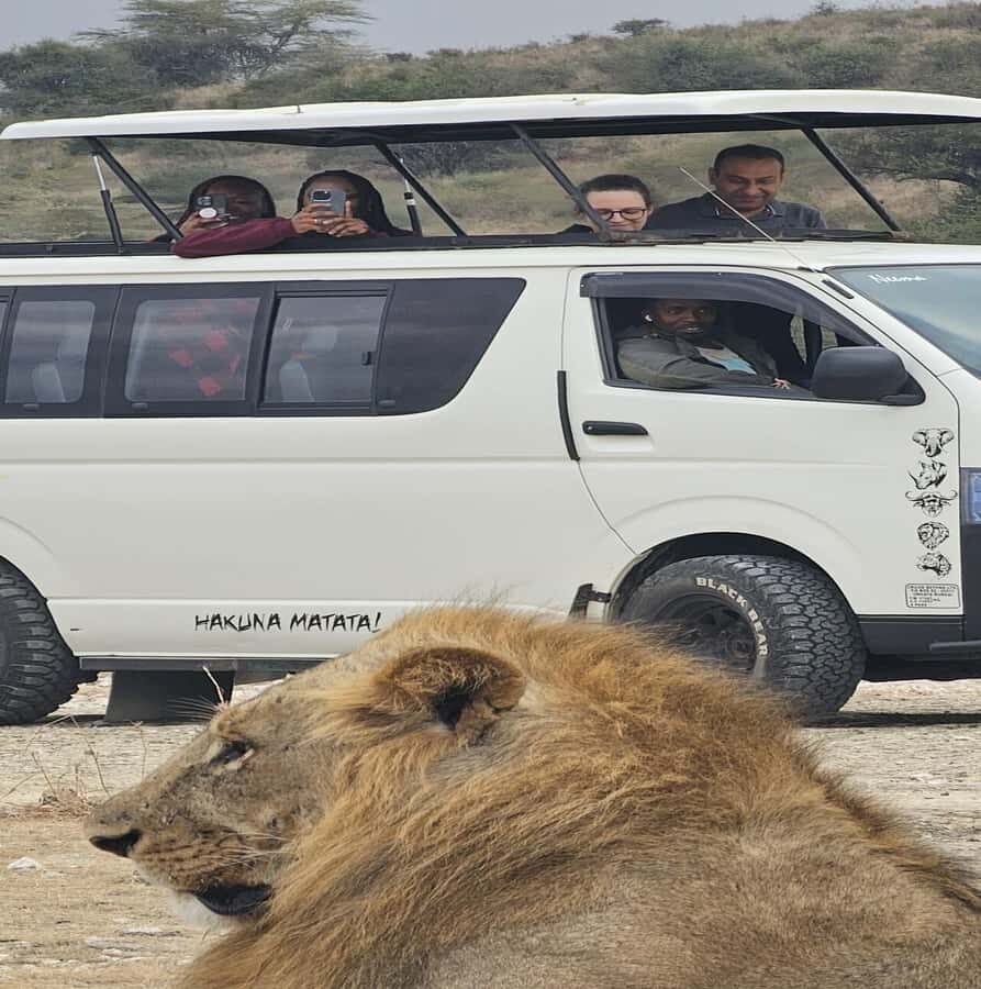 Nairobi: National Park Guided Game Drive - Pickup, van ride, and the “roof up” advantage