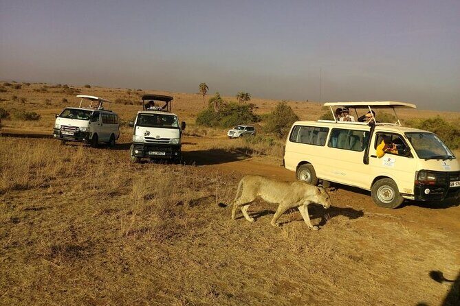Nairobi National Park Half Day Game Drive Tour With Free WIFI - Group size and comfort: why 15 people matters
