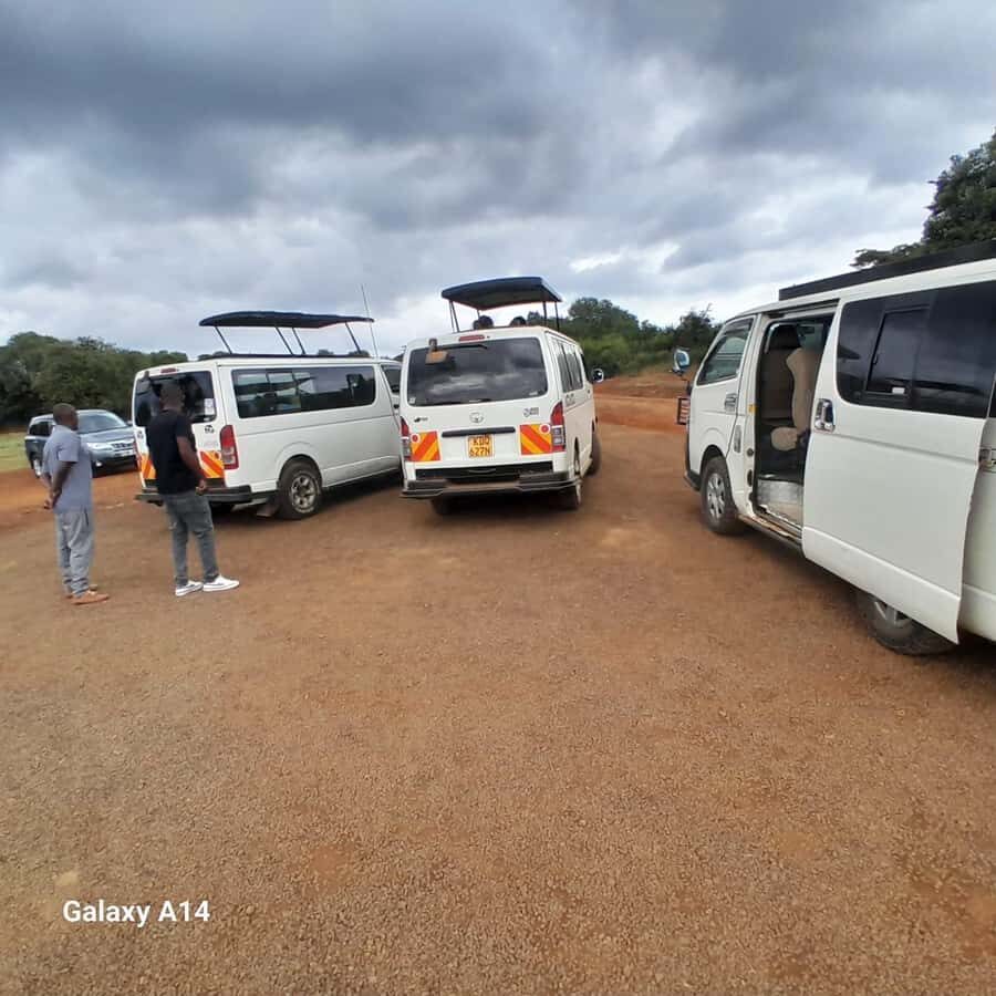 Nairobi National Park: Half-Day Group Tour with Pickup - The viewpoint break: short rest, high payoff photos