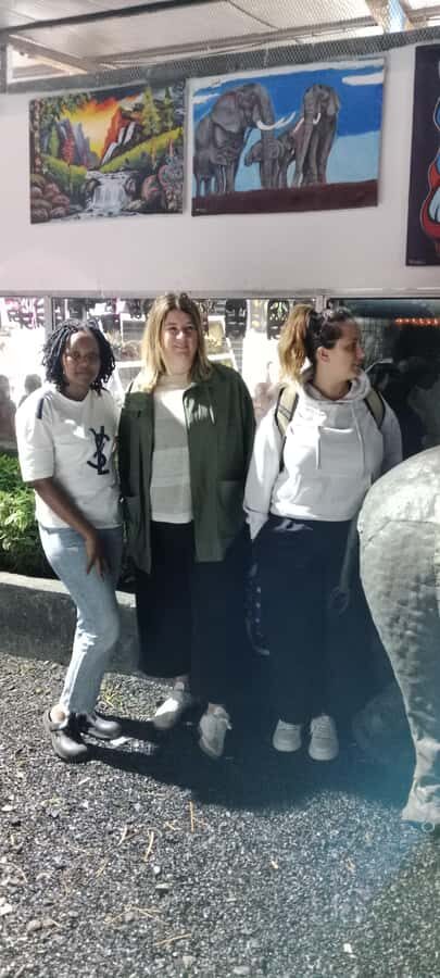 Nairobi National Park: Half-Day Group Tour with Pickup - Getting out: curio shops on the way back