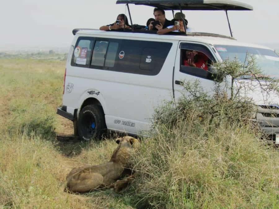 Nairobi National Park Half-Day Guided Game Drive With Pickup - Key things to know before you go