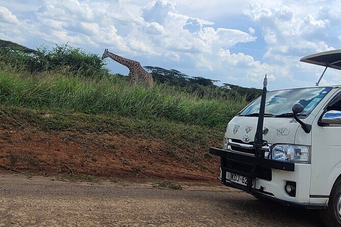 Nairobi National Park Half Day Tour - Inside Nairobi National Park: Game Drives and the Big Five Challenge