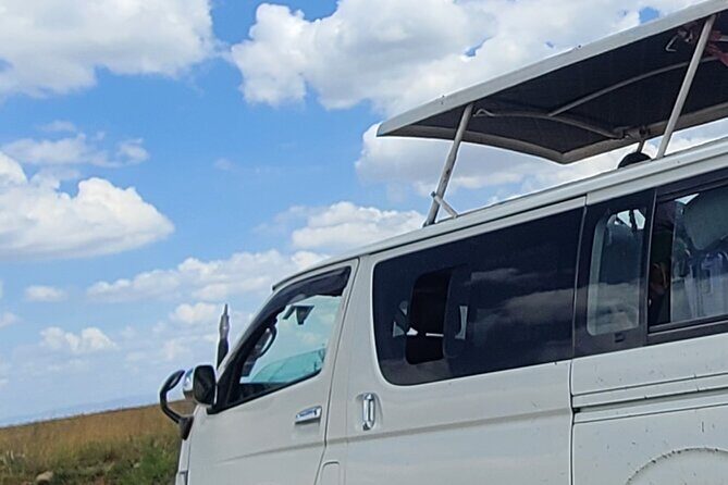 Nairobi National Park Half Day Tour - Rhinos in This Park: The Optional White and Black Rhino Add-On