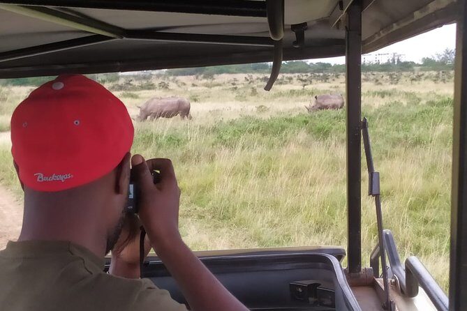 Nairobi National Park Half-Day Tour; Free Wi-Fi connection - Why Nairobi National Park fits a short Kenya itinerary