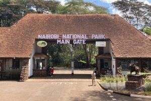 Nairobi National Park half-Day Tour; Free wifi Connection - The 4-hour loop: pickup, main gate driving, and back to town