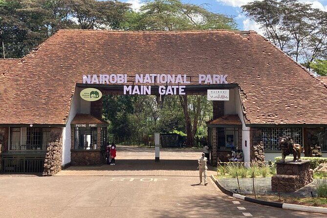 Nairobi National Park half-Day Tour; Free wifi Connection - The 4-hour loop: pickup, main gate driving, and back to town